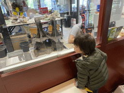 Max looking at a paleontologist working at the paleontological laboratory at the Upper Floor of the Museum Building of the Oertijdmuseum