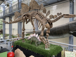 Skeleton and statue of a Stegosaurus at the Middle Floor of the Dinohal building of the Oertijdmuseum