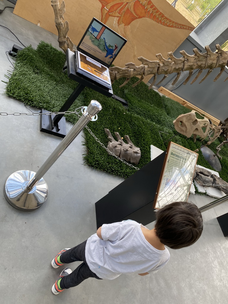 Max looking at a movie about Betasuchus at the Lower Floor of the Dinohal building of the Oertijdmuseum