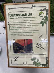 Information on Betasuchus at the Lower Floor of the Dinohal building of the Oertijdmuseum