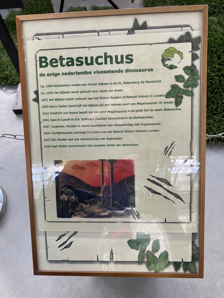 Information on Betasuchus at the Lower Floor of the Dinohal building of the Oertijdmuseum