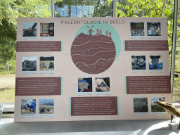 Information on paleontology at the Lower Floor of the Dinohal building of the Oertijdmuseum