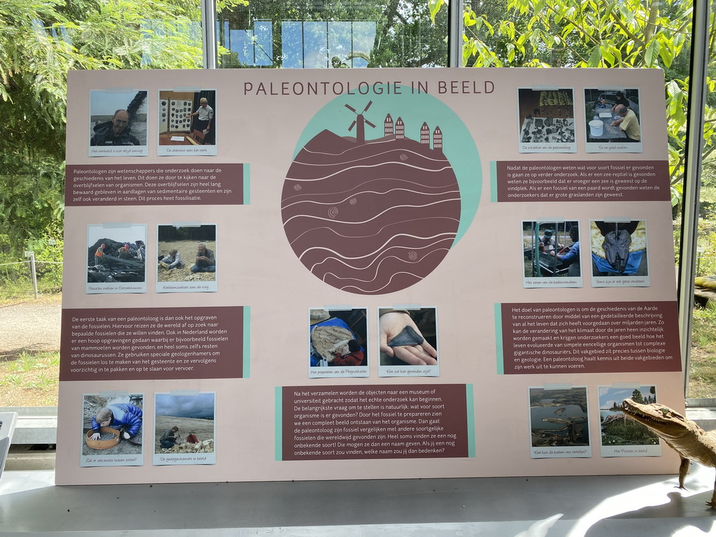 Information on paleontology at the Lower Floor of the Dinohal building of the Oertijdmuseum