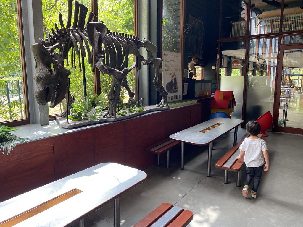 Max and a skeleton of a Woolly Rhinoceros in the hallway from the Dinohal building to the Museum building of the Oertijdmuseum, with explanation