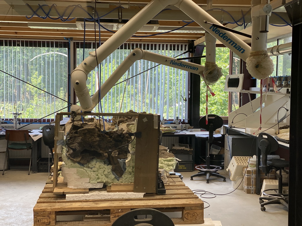 Interior of the paleontological laboratory at the Upper Floor of the Museum Building of the Oertijdmuseum