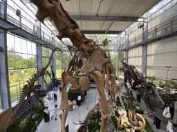 Skeletons at the Lower Floor of the Dinohal building of the Oertijdmuseum, viewed from the Middle Floor