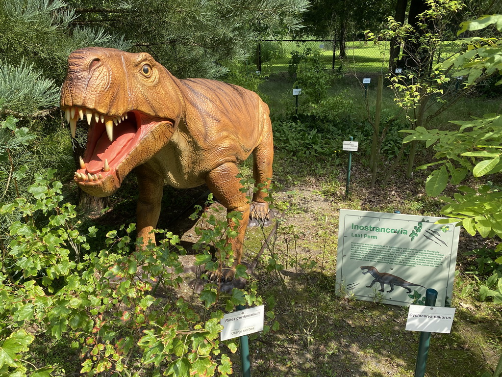 Inostrancevia statue at the Garden of the Oertijdmuseum, with explanation