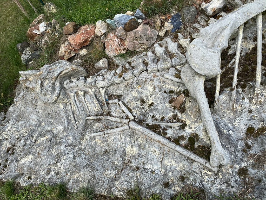 Skeleton of a Dinosaur in the Garden of the Oertijdmuseum