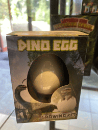 Dino egg toy at the shop at the Lower Floor of the Museum Building of the Oertijdmuseum