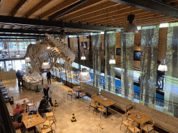 Skeleton of Casper the Sperm Whale above the Lower Floor of the Museum Building of the Oertijdmuseum, viewed from the Upper Floor