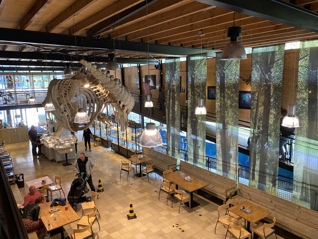 Skeleton of Casper the Sperm Whale above the Lower Floor of the Museum Building of the Oertijdmuseum, viewed from the Upper Floor