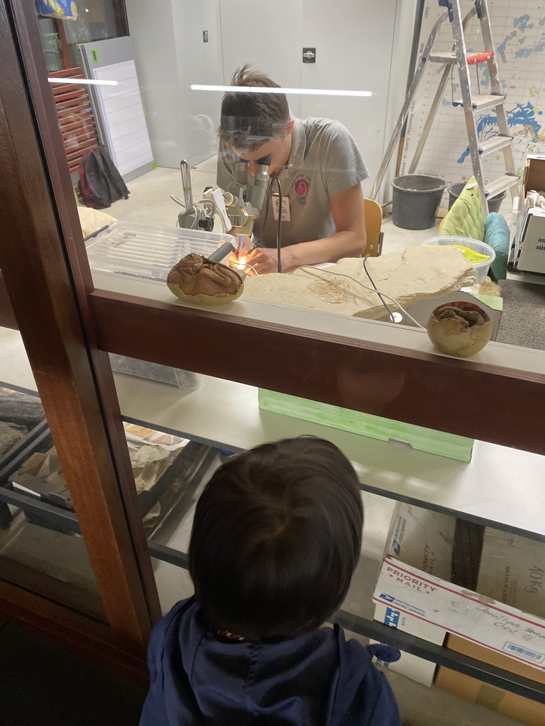 Max and a paleontologist working at the paleontological laboratory at the Upper Floor of the Museum Building of the Oertijdmuseum