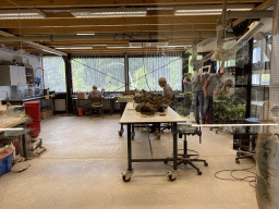 Paleontologists working at the paleontological laboratory at the Upper Floor of the Museum Building of the Oertijdmuseum