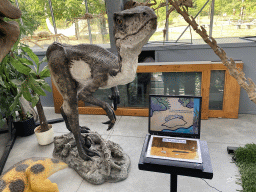 Statue of a Betasuchus at the Lower Floor of the Dinohal building of the Oertijdmuseum, with explanation