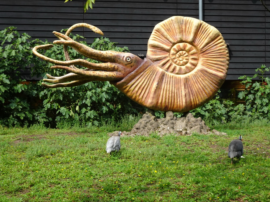 Ammonite statue and Guineafowls in the Garden of the Oertijdmuseum