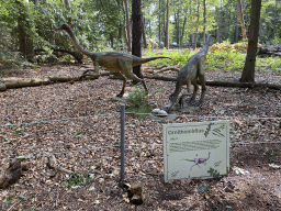 Statues of Ornithomimuses in the Oertijdwoud forest of the Oertijdmuseum, with explanation