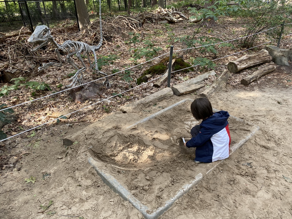 Deinonychus skeleton and Max with brushes at the dinosaur excavation sandbox at the Oertijdwoud forest of the Oertijdmuseum