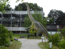 Diplodocus statue in front of the Dinohal building at the Garden of the Oertijdmuseum