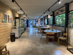 Interior of the coffee room at the Lower Floor of the Museum Building of the Oertijdmuseum