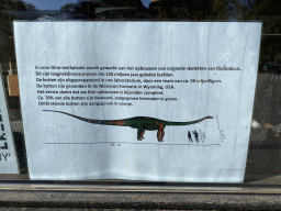 Information on the reconstruction of Diplodocus skeletons, at the front of the new building at the Oertijdmuseum