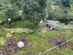 Crocodile statues at the Garden of the Oertijdmuseum