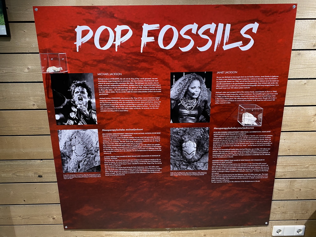 Pop fossils at the Lower Floor of the Museum building of the Oertijdmuseum, with explanation