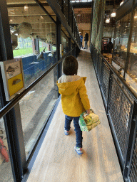 Max at the walkway from the Lower Floor to the Upper Floor at the Museum Building of the Oertijdmuseum