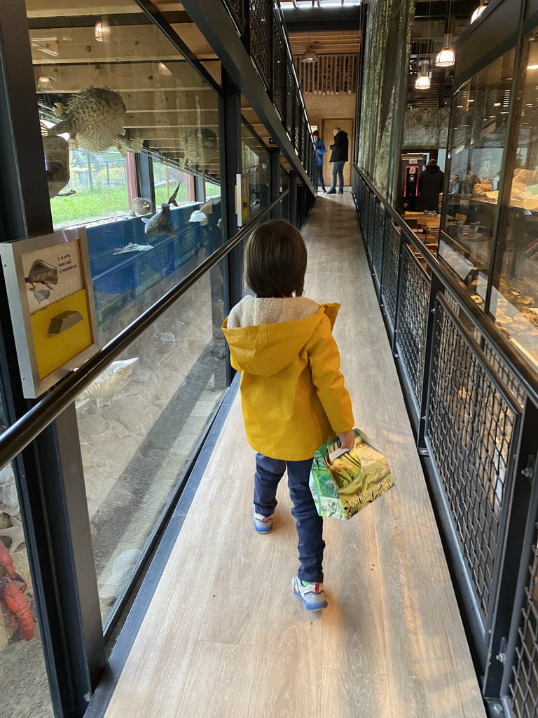 Max at the walkway from the Lower Floor to the Upper Floor at the Museum Building of the Oertijdmuseum