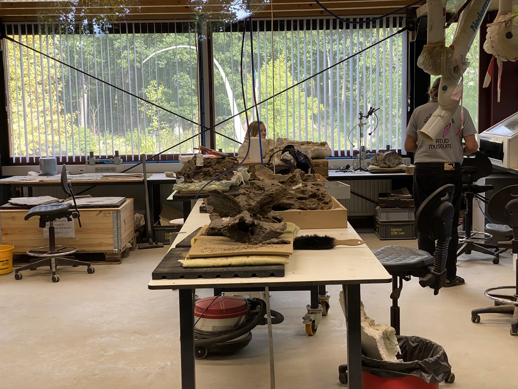 Paleontologists working at the paleontological laboratory at the Upper Floor of the Museum Building of the Oertijdmuseum