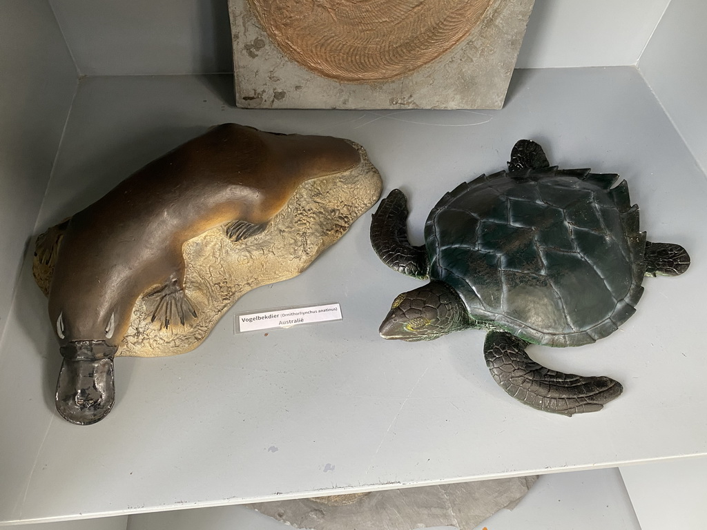 Platypus and Turtle statues at the Lower Floor of the Dinohal building of the Oertijdmuseum, with explanation