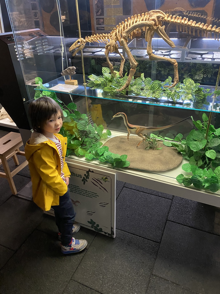 Max with an Eoraptor skull, skeleton and statue at the Upper Floor of the Museum building of the Oertijdmuseum, with explanation