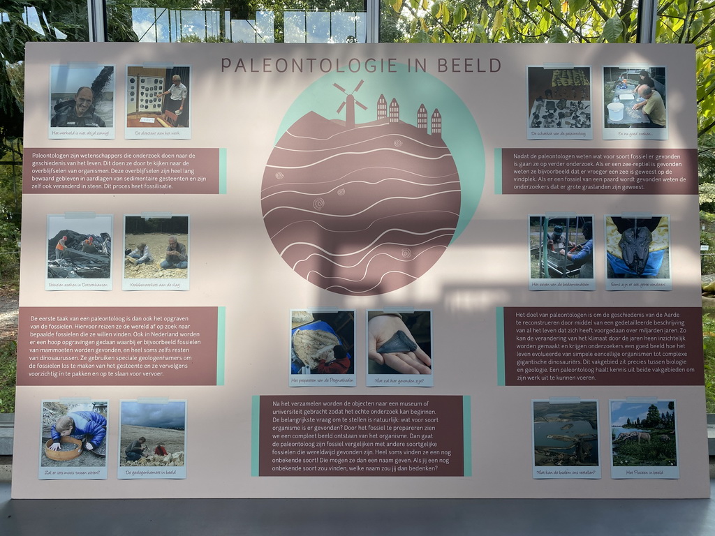 Information on paleontology at the Lower Floor of the Dionhal building of the Oertijdmuseum