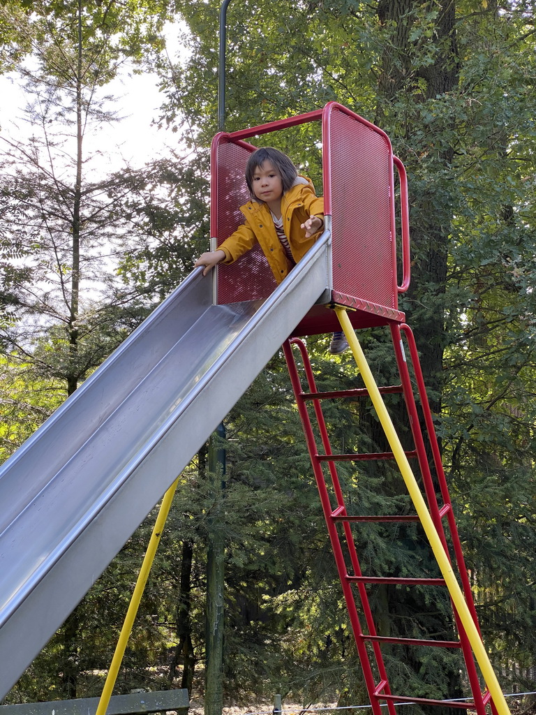 Max on the slide at the playground in the Oertijdwoud forest of the Oertijdmuseum
