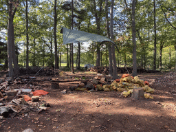 Area under construction in the Oertijdwoud forest of the Oertijdmuseum