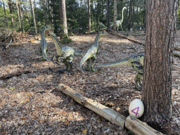 Dilong Paradoxus statues in the Oertijdwoud forest of the Oertijdmuseum