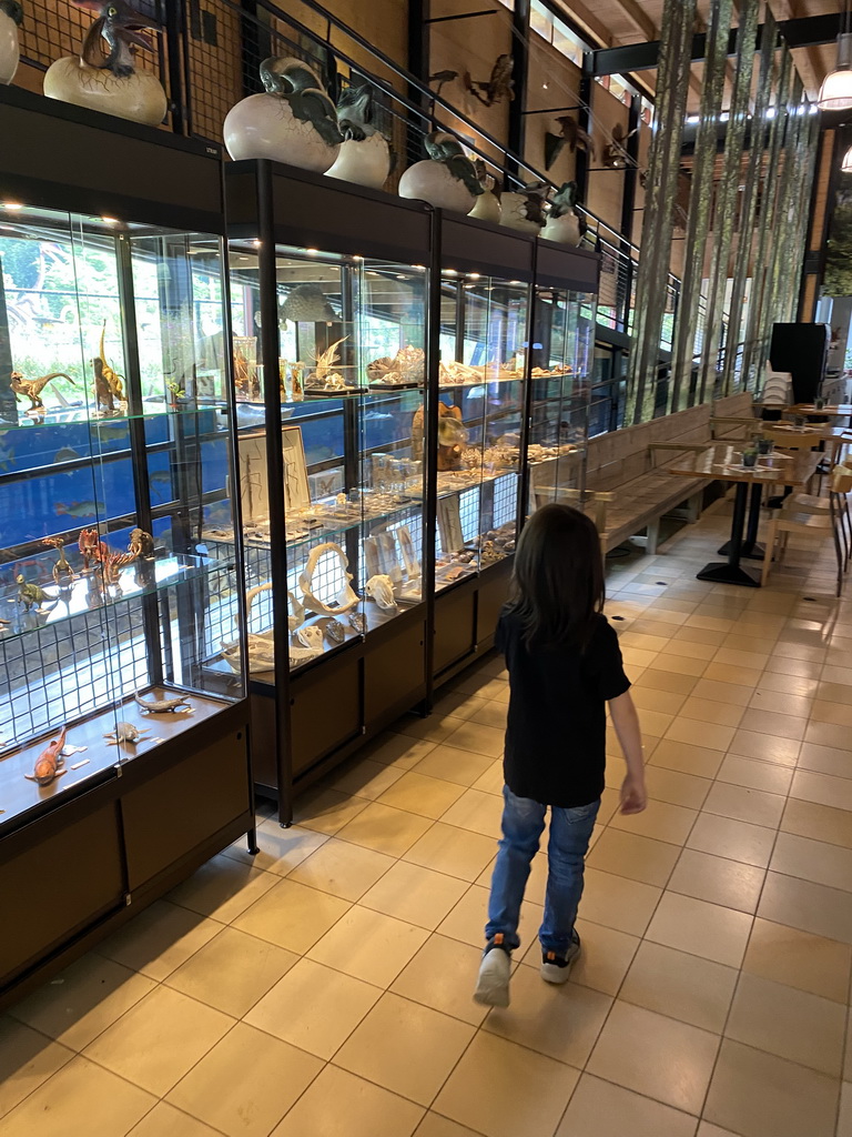 Max at the shop at the Lower Floor of the Museum Building of the Oertijdmuseum