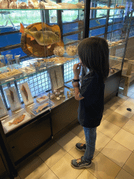 Max with stuffed animals at the shop at the Lower Floor of the Museum Building of the Oertijdmuseum