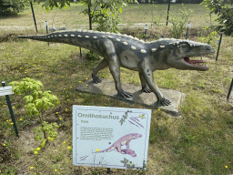 Statue of an Ornithosuchus in the Garden of the Oertijdmuseum, with explanation