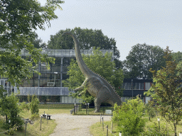 Statue of a Diplodocus in front of the Dinohal building in the Garden of the Oertijdmuseum