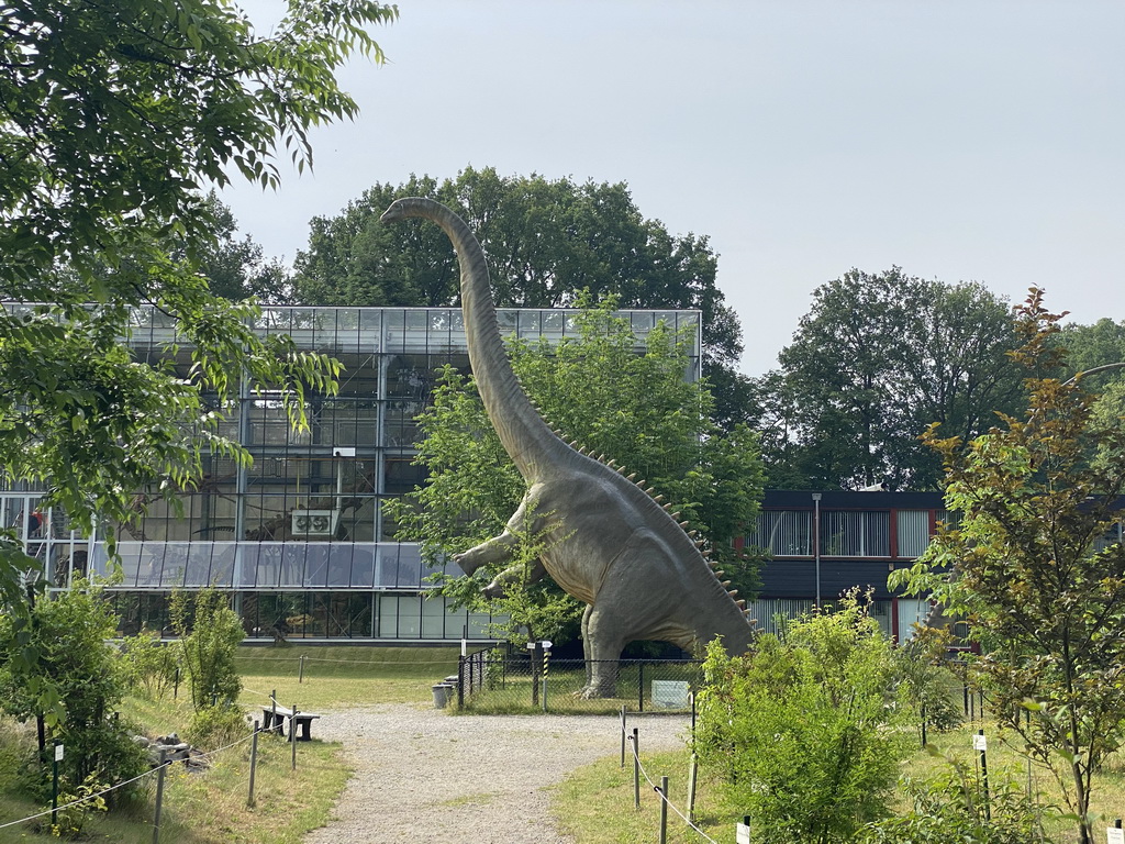 Statue of a Diplodocus in front of the Dinohal building in the Garden of the Oertijdmuseum