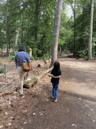 Miaomiao and Max in the Oertijdwoud forest of the Oertijdmuseum