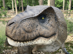 Head of the statue of a Tyrannosaurus Rex in the Oertijdwoud forest of the Oertijdmuseum