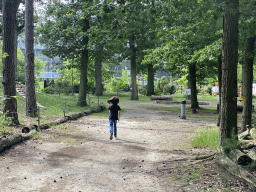 Max in the Oertijdwoud forest of the Oertijdmuseum