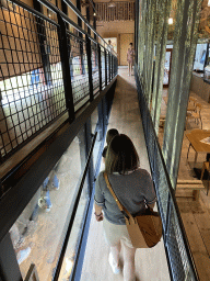 Miaomiao and Max at the walkway from the Lower Floor to the Upper Floor at the Museum Building of the Oertijdmuseum