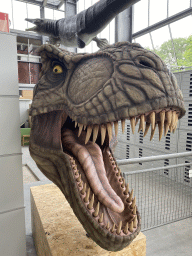 Statue of the head of a Tyrannosaurus Rex at the Lower Floor of the Dinohal building of the Oertijdmuseum