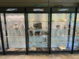 Fossils at the Lower Floor of the Museum building of the Oertijdmuseum