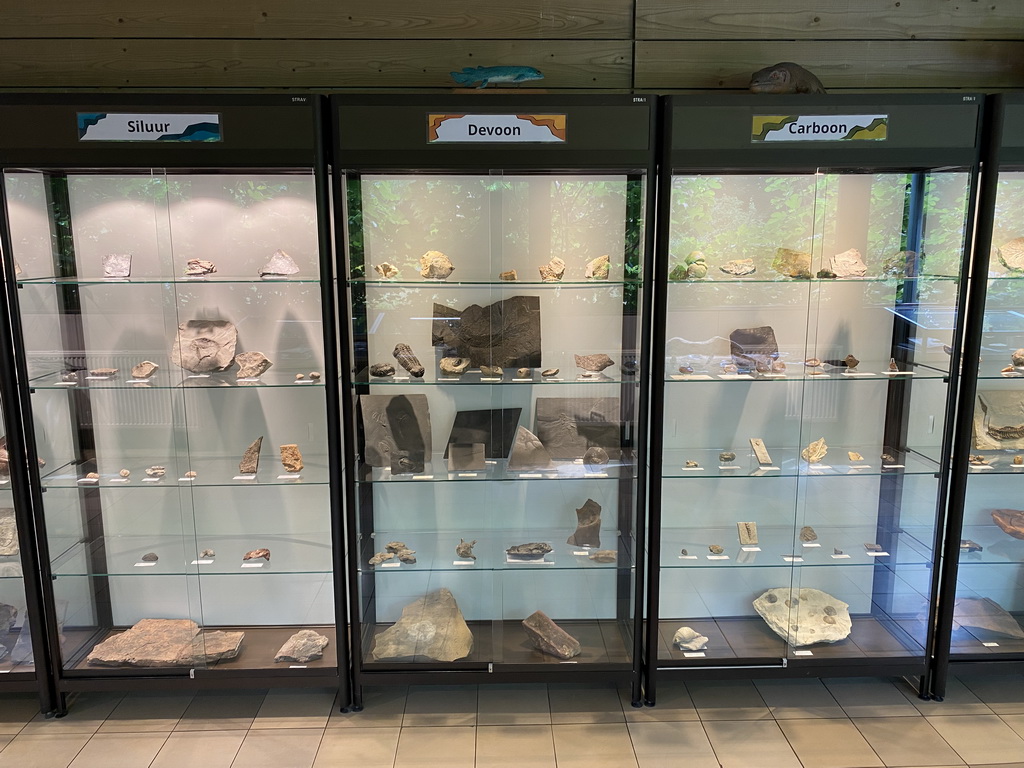 Fossils at the Lower Floor of the Museum building of the Oertijdmuseum