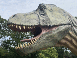 Head of the statue of a Tyrannosaurus Rex at the entrance to the Oertijdmuseum at the Bosscheweg street