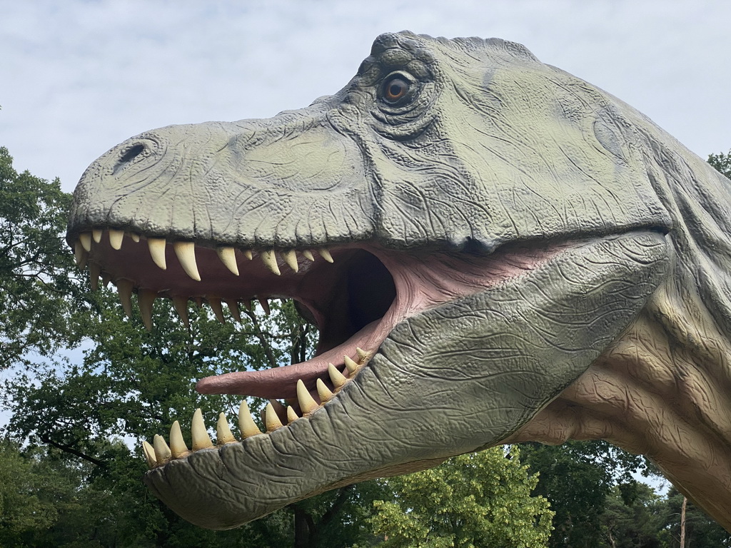 Head of the statue of a Tyrannosaurus Rex at the entrance to the Oertijdmuseum at the Bosscheweg street