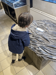 Max looking at fish fossils at the Lower Floor of the Museum building of the Oertijdmuseum